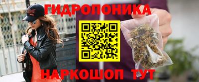 МДПВ Дмитров